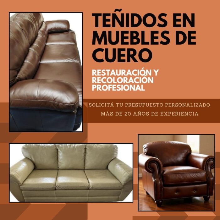  RENUEVA TUS MUEBLES DE CUERO